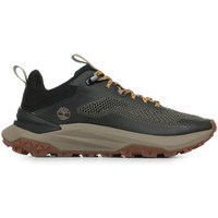 Sapatos Homem Sapatilhas Timberland Motion Access Low Lace Sneaker Castanho
