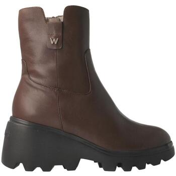 Sapatos Mulher Botins Wonders  Castanho