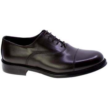 Sapatos Homem Sapatos & Richelieu Veni 144716 Castanho