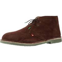 Sapatos Homem Botas Swissalpine 514M Castanho
