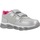 Sapatos Rapaz Sapatilhas Chicco COOK Cinza