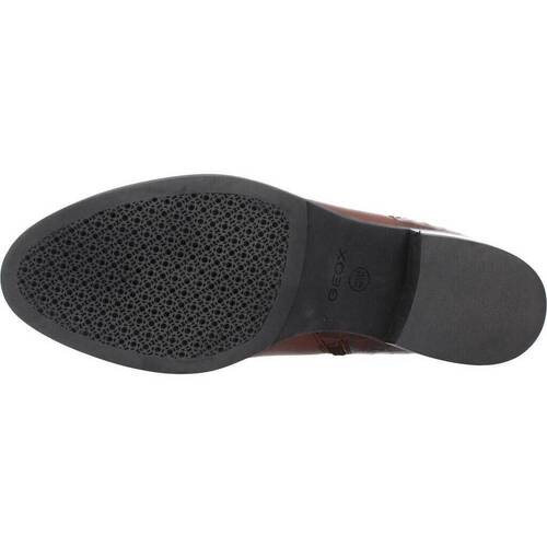 Geox DONNA BROGUE F Castanho