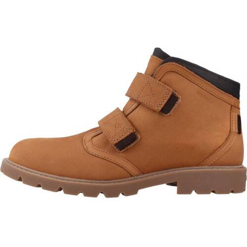 Geox J SHAYLAX BOY WPF Castanho