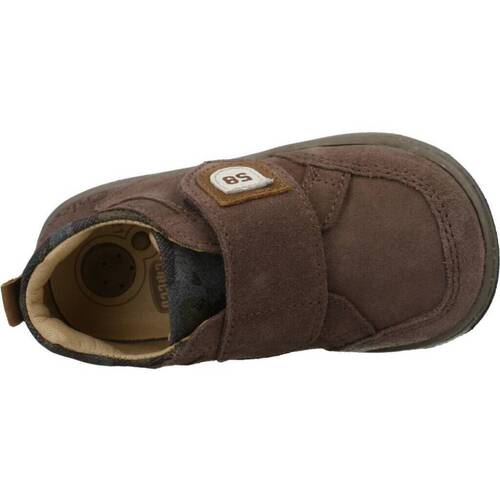 Chicco GESON Castanho