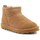 Sapatos Mulher Botins Bearpaw Shorty Iceed Coffee Bege