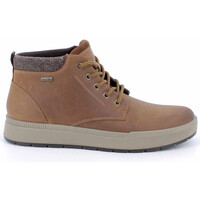 Sapatos Homem Botas baixas Imac 652078 Castanho