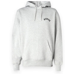Textil Homem Sweats Dickies panther hoodie Cinza