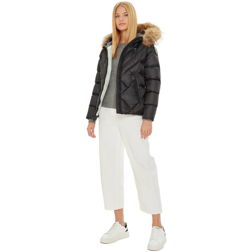 Blauer 24WBLDC03051 Preto