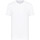 Textil Homem T-Shirt mangas curtas EAX 8NZT84Z8M9Z Branco