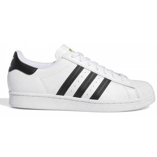 Sapatos Homem Sapatilhas adidas Originals Superstar adv Branco