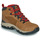 Sapatos Homem Sapatos de caminhada Columbia NEWTON RIDGE PLUS II SUEDE WP Conhaque