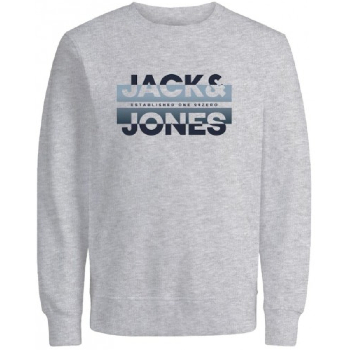 Textil Homem Sweats Jack & Jones 12267544 JCORAY COLOR SWEAT CREW NECK FST LIGHT GREY Cinza