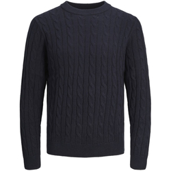 Textil Homem camisolas Jack & Jones 12257479 JJEROSS KNIT CREW NECK SN NAVY BLAZER Azul