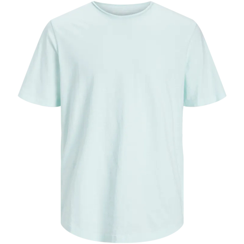 Textil Homem T-Shirt mangas curtas Jack & Jones 12182498 JJEBASHER TEE O-NECK SS NOOS SHOOTING SEA Verde