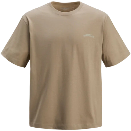 Textil Homem T-Shirt mangas curtas Jack & Jones 12276589 JORLUCCA TEE SS CREW NECK CIFF LN CROCKERY Bege