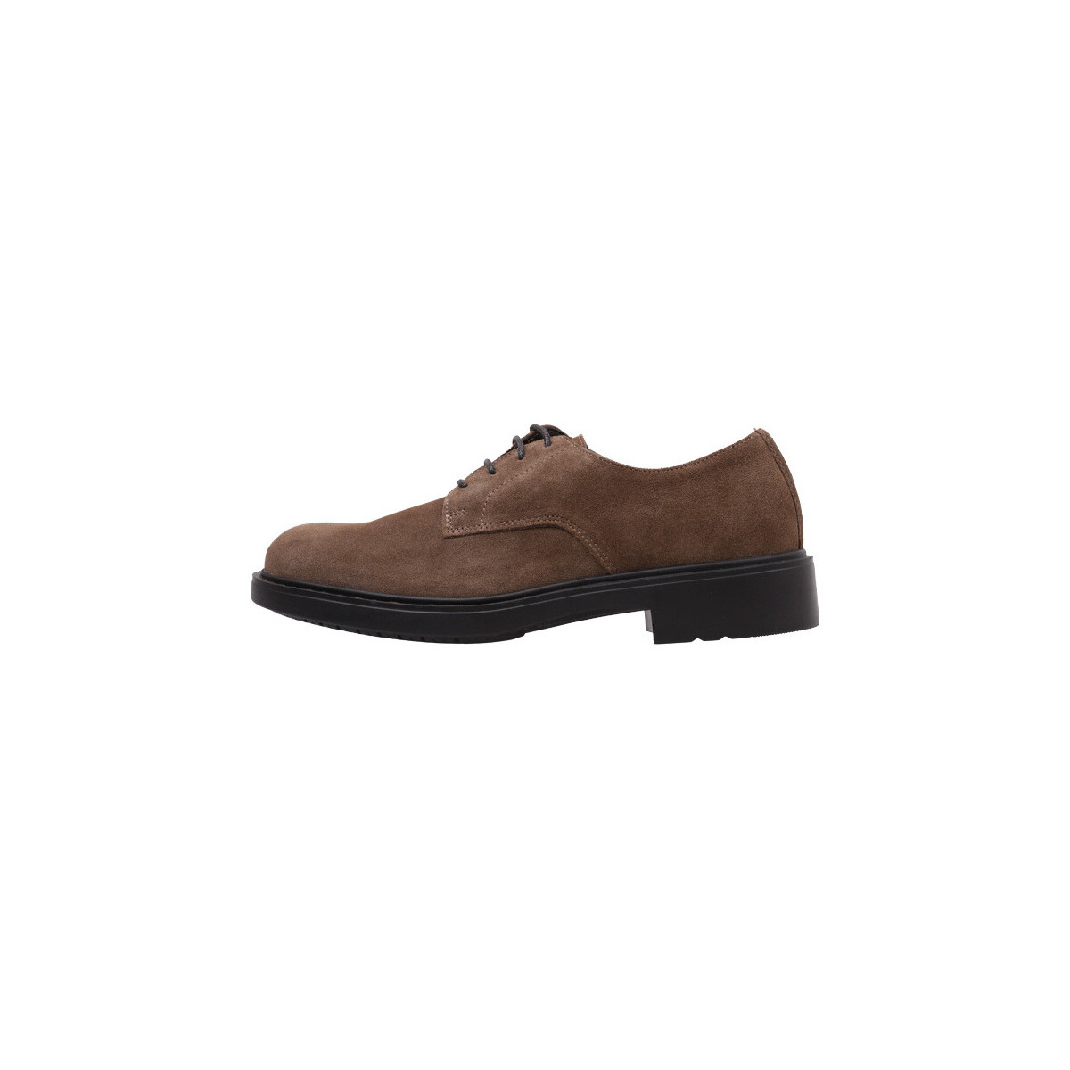 Sapatos Homem Sapatos & Richelieu Limma TINO Castanho