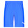 Textil Homem Shorts / Bermudas Puma TEAMRISE MATCHDAY Azul
