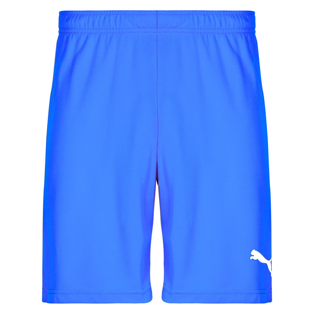 Textil Homem Shorts / Bermudas Puma TEAMRISE MATCHDAY Azul
