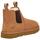 Sapatos Homem Botas baixas UGG  Bege
