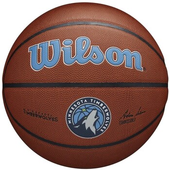 Acessórios Acessórios de desporto Wilson Team Alliance Minnesota Timberwolves Castanho
