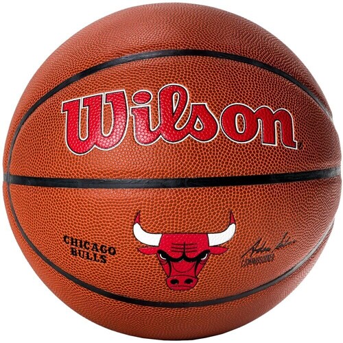 Acessórios Acessórios para calçado Wilson Team Alliance Chicago Bulls Castanho