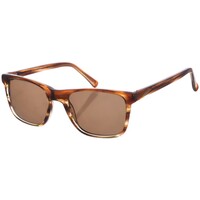 Relógios & jóias Homem óculos de sol Zen Z445-C03 Castanho