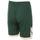 Textil Rapaz Shorts / Bermudas Nba  Verde
