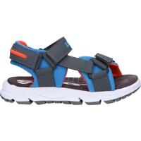 Sapatos Criança Sandálias Levi's VNIA0001S NIAGARA VNIA0001S NIAGARA