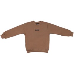 Textil Rapaz camisolas Disclaimer 24IDK58265 Castanho