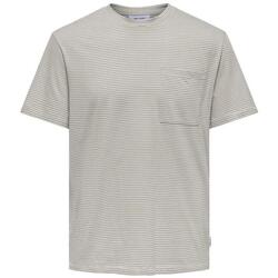 Textil Homem T-shirts e Pólos Only & Sons   Bege