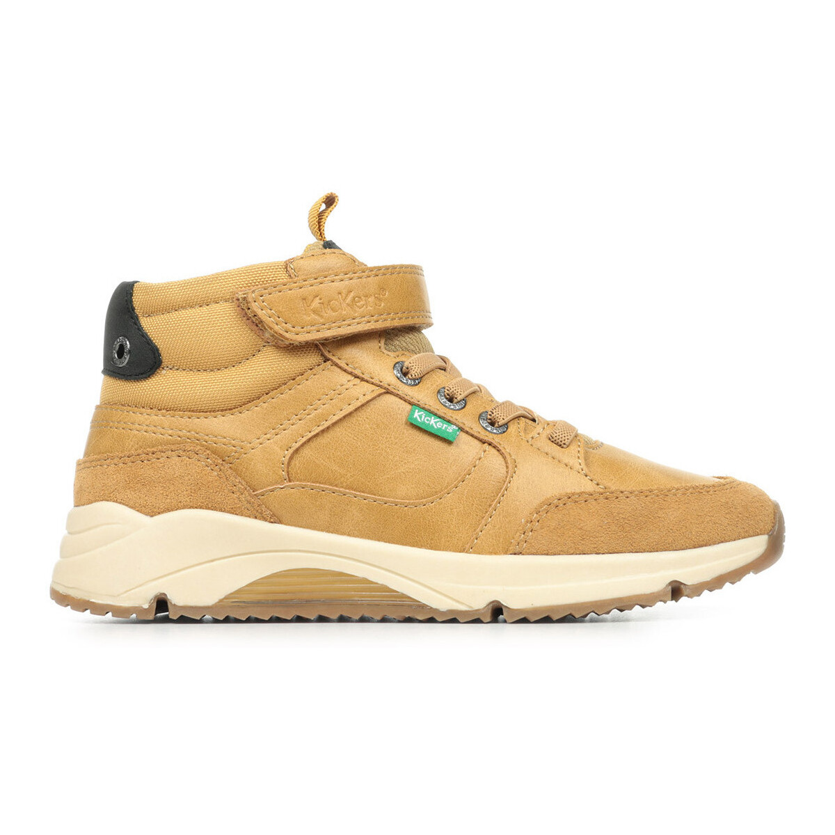 Sapatos Rapaz Sapatilhas Kickers Runrun High Castanho