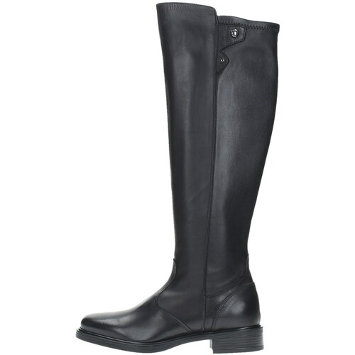 Sapatos Mulher Botas NeroGiardini  Preto