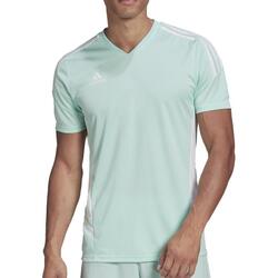 Textil Homem T-shirts e Pólos adidas Originals  Verde