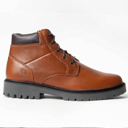 Sapatos Homem Botas Purapiel 99008 Castanho