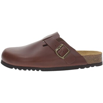 Sapatos Homem Sandálias Scholl  Castanho