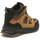 Sapatos Homem Botas baixas Crosby  Castanho