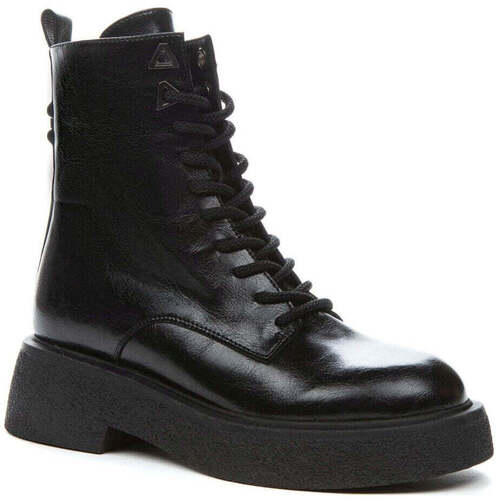 Sapatos Mulher Botins Keddo  Preto