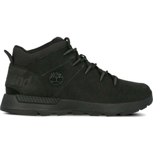 Sapatos Homem Botas baixas Timberland  Preto