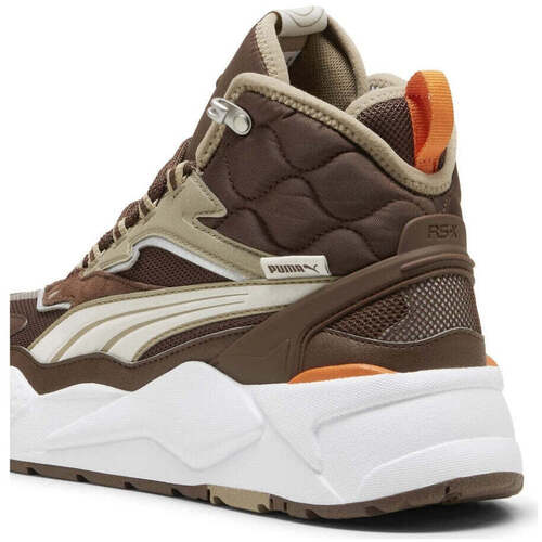 Puma  Castanho