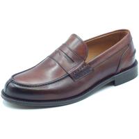 Sapatos Homem Mocassins Exton 102 Vitiello Castanho
