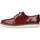 Sapatos Mulher Sapatos & Richelieu Clarks GLICK DARBY Bordô