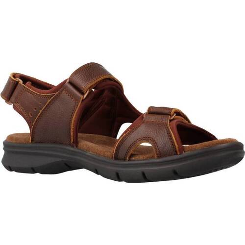 Panama Jack SALTON BASICSC4 Castanho