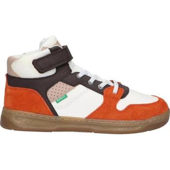 Sapatos Rapaz Botas baixas Kickers 972790-30 KICKADO 972790-30 KICKADO