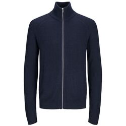 Textil Homem camisolas Jack & Jones 12258474 PANNEL KNIT-NAVY BLAZER Azul