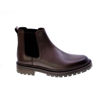 Sapatos Homem Botas baixas Green House 346731 Castanho