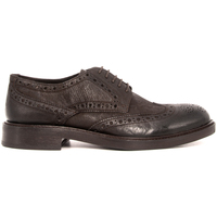 Sapatos Homem Richelieu Pawelk's 20031 OXFORD MARRONE Castanho
