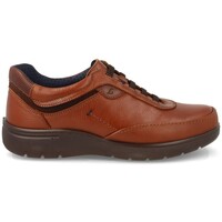 Sapatos Homem Sapatos & Richelieu Luisetti  Castanho