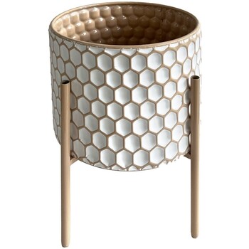Signes Grimalt Plantador S