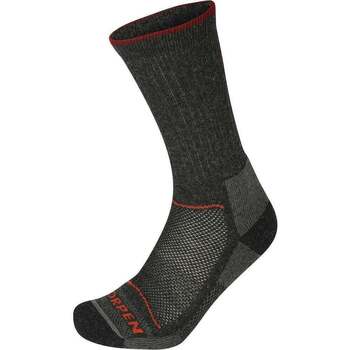 Roupa de interior Meias de desporto Lorpen T2WE MERINO HIKER 2 PACK ECO Cinza
