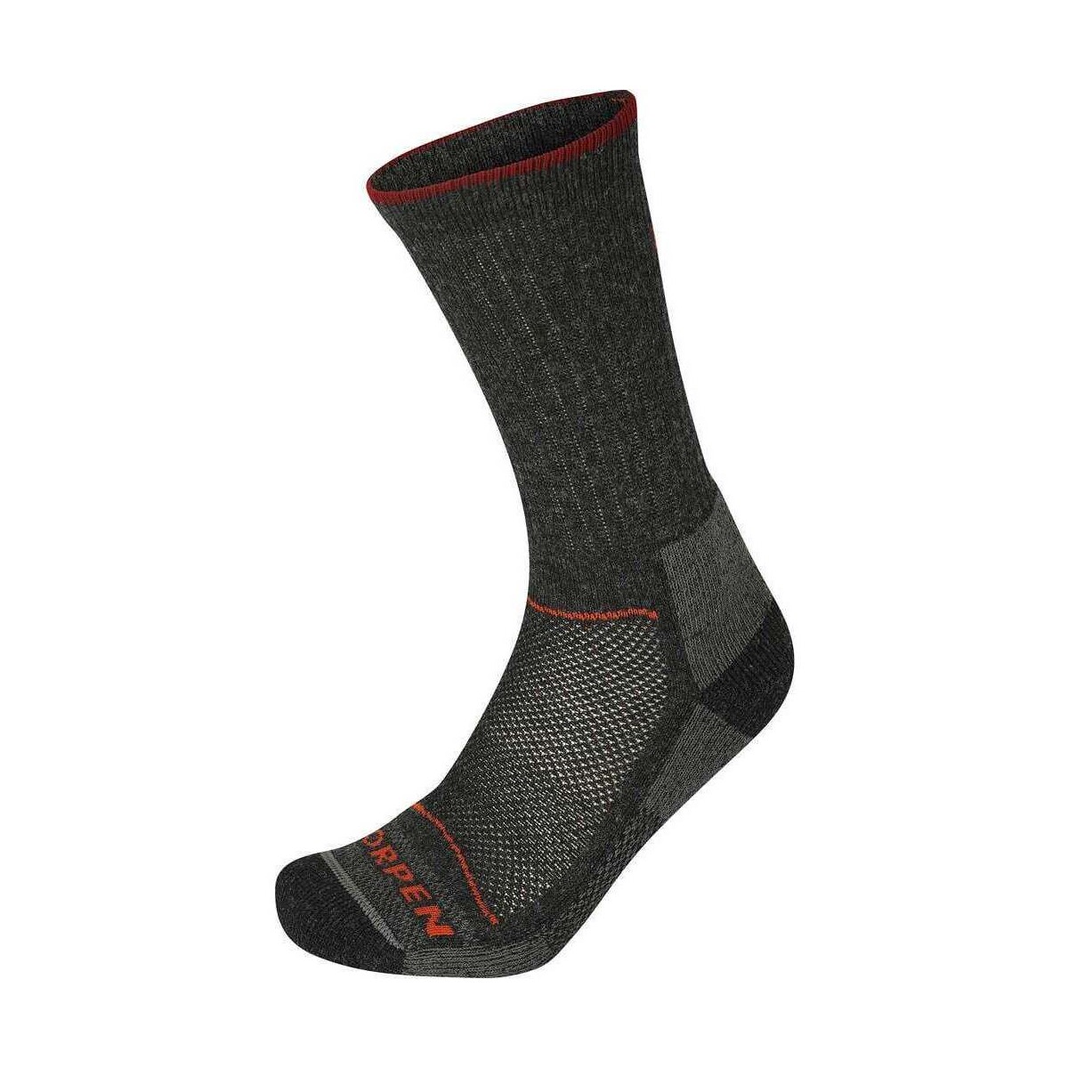 Roupa de interior Meias de desporto Lorpen T2WE MERINO HIKER 2 PACK ECO Cinza